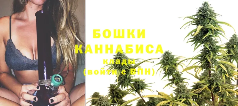 МАРИХУАНА Ganja  Динская 